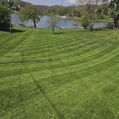 Fresh lawn maintenance