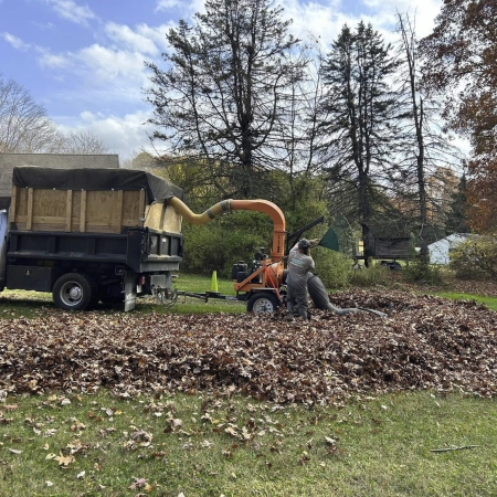 Outdoor cleanup service