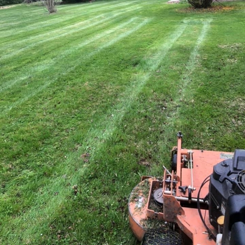 Freshly mowed lawn by Custom Cut Lawn Care