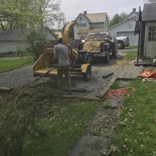 Property service and outdoor cleanup work